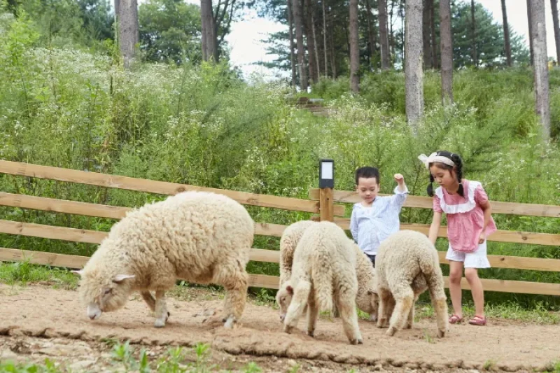 AlpacaWorld  (27/39)