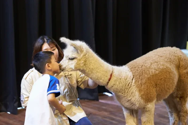 AlpacaWorld  (29/39)