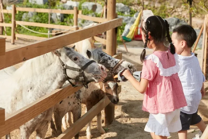 AlpacaWorld  (32/39)