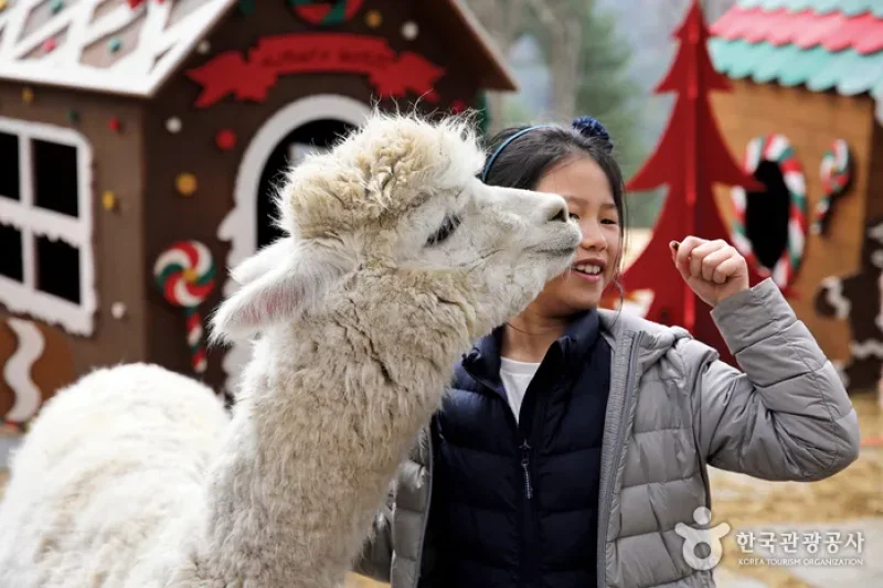 AlpacaWorld  (37/39)