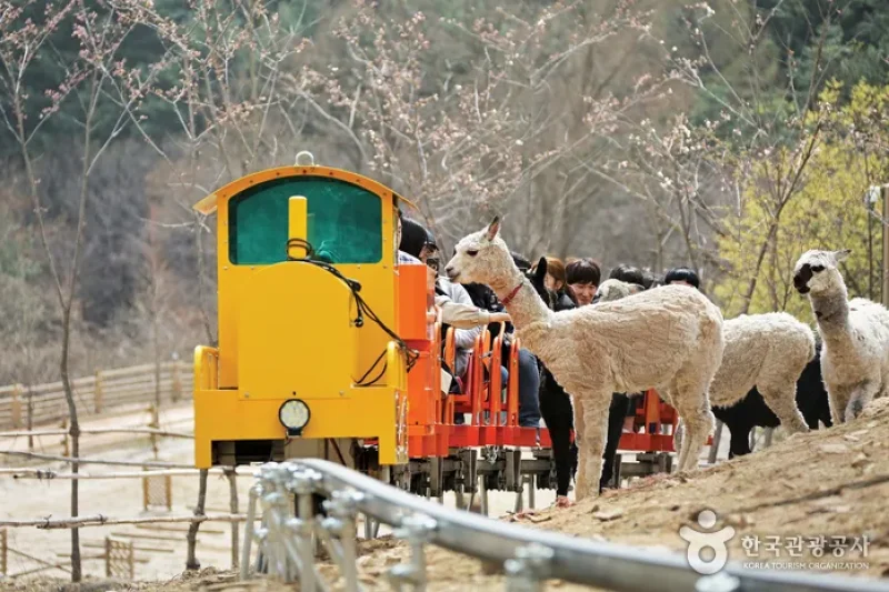 AlpacaWorld  (38/39)