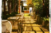 Rose Garden 