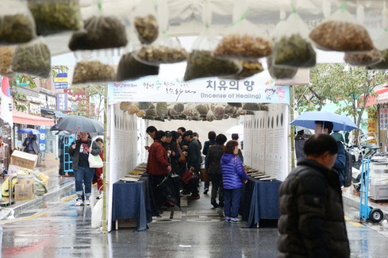 Seoul Yangnyeongsi Herb Medicine Culture Festival  (8/10)