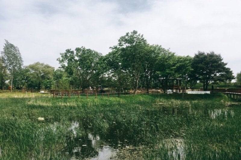 Baramsae Village Picnic Garden (바람새마을 소풍정원) (1/10)