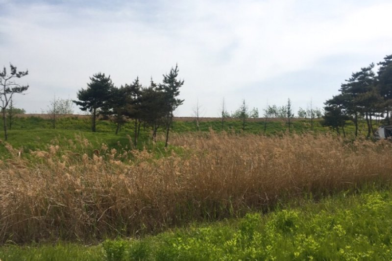 Baramsae Village Picnic Garden (바람새마을 소풍정원) (5/10)