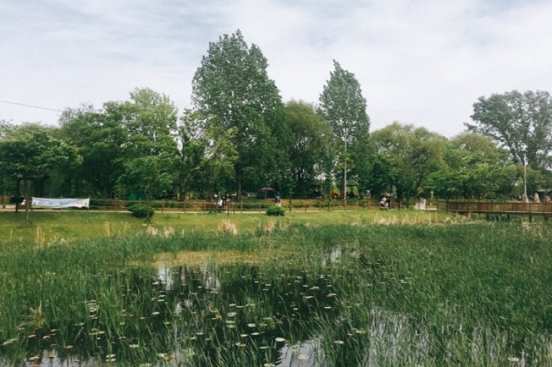 Baramsae Village Picnic Garden (바람새마을 소풍정원) (10/10)