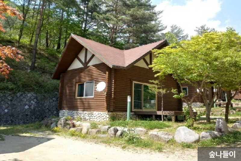 Taebaek Highland Natural Recreational Forest  (1/6)