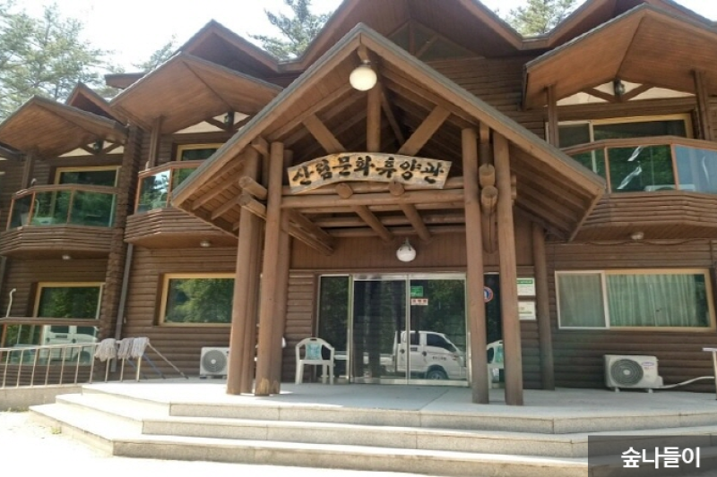 Taebaek Highland Natural Recreational Forest  (2/6)