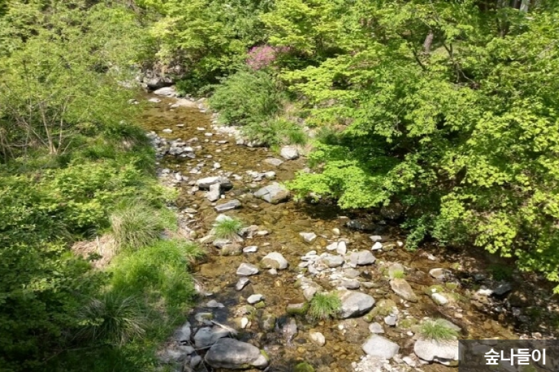 Taebaek Highland Natural Recreational Forest  (3/6)