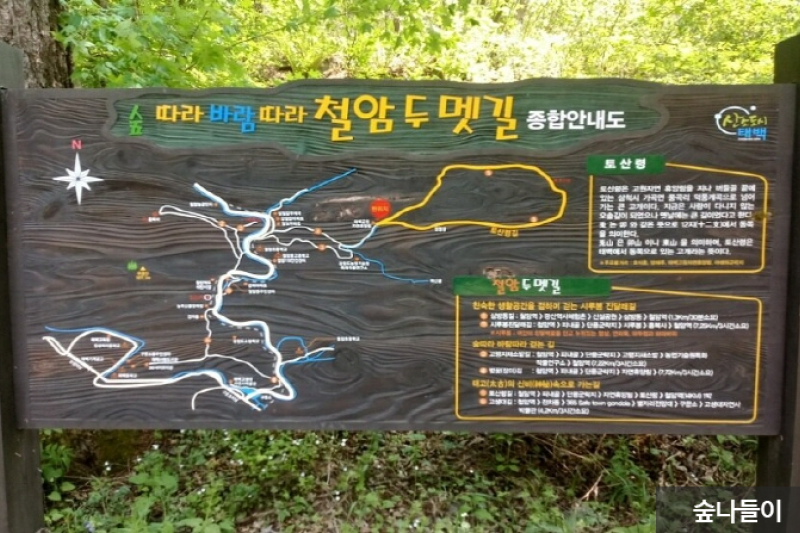 Taebaek Highland Natural Recreational Forest  (4/6)