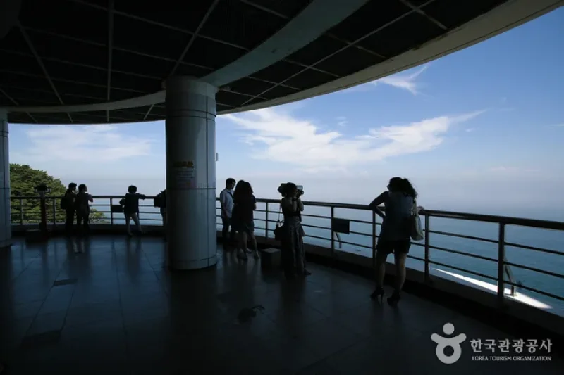Taejongdae Cliffed Coast [National Geopark] (5/20)