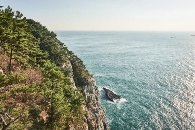 Taejongdae Cliffed Coast [National Geopark] (12/20)
