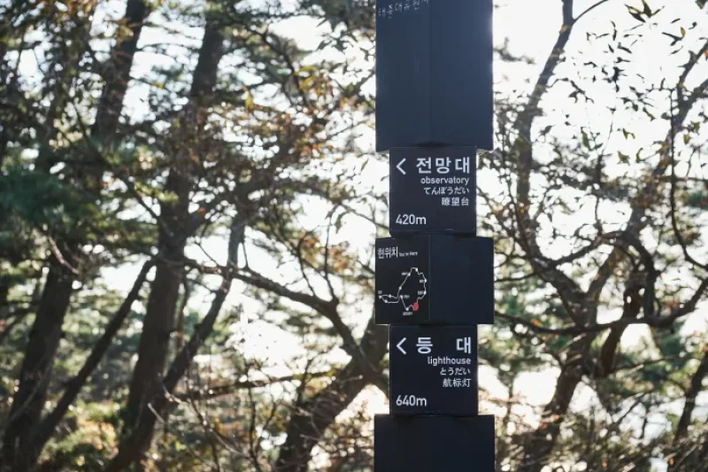 Taejongdae Cliffed Coast [National Geopark] (20/20)