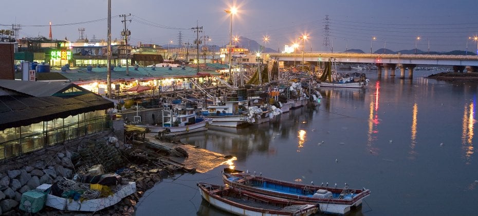 Incheon Greeters(‎‎‎‎‎‎‎‎‎‎Free Personal Walking Tour with a Local) - Discover Incheon on a free walking tour with a local (14/24)