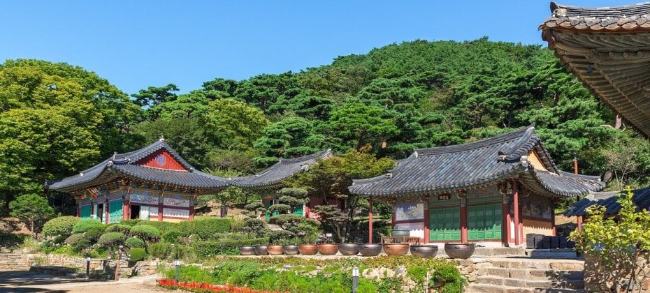 Incheon Greeters(‎‎‎‎‎‎‎‎‎‎Free Personal Walking Tour with a Local) - Discover Incheon on a free walking tour with a local (16/24)