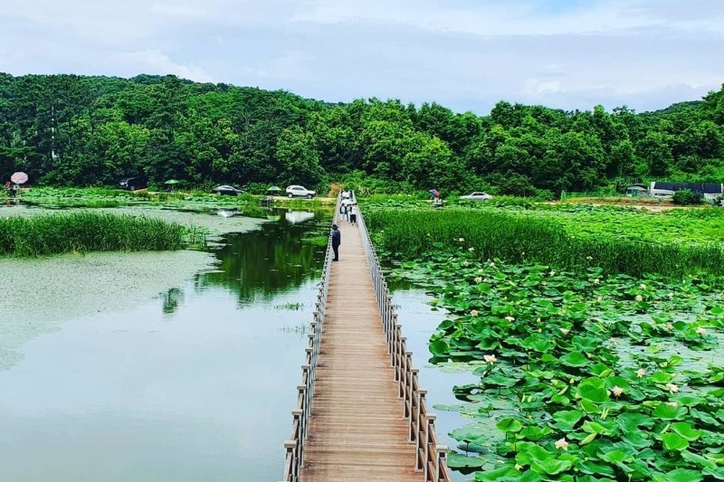 Gyodongdo Island (교동도(강화)) (22/27)