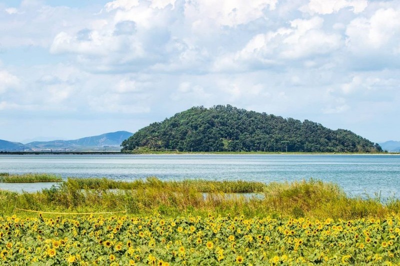 Gyodongdo Island (교동도(강화)) (23/27)