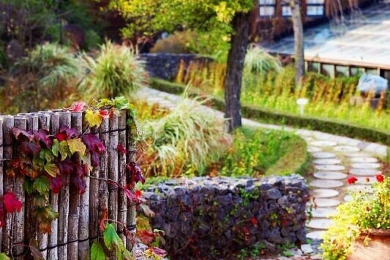 Herb Village  (13/17)
