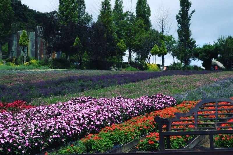 Herb Village  (17/17)