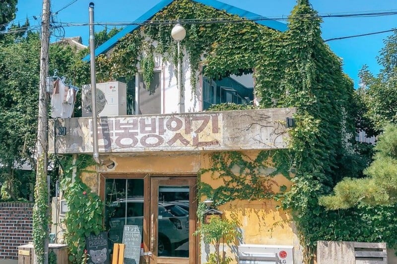 Bonbon Roastery  (6/8)