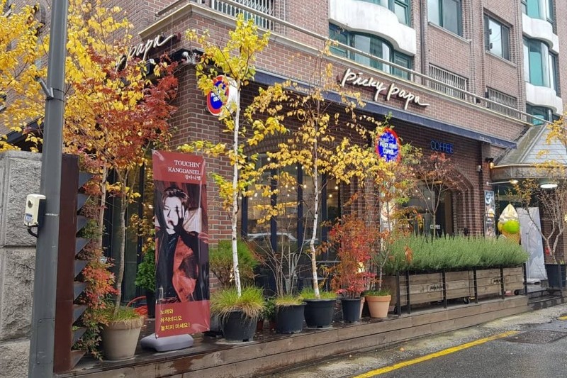 Picky Papa Daniel Forest (2/6)