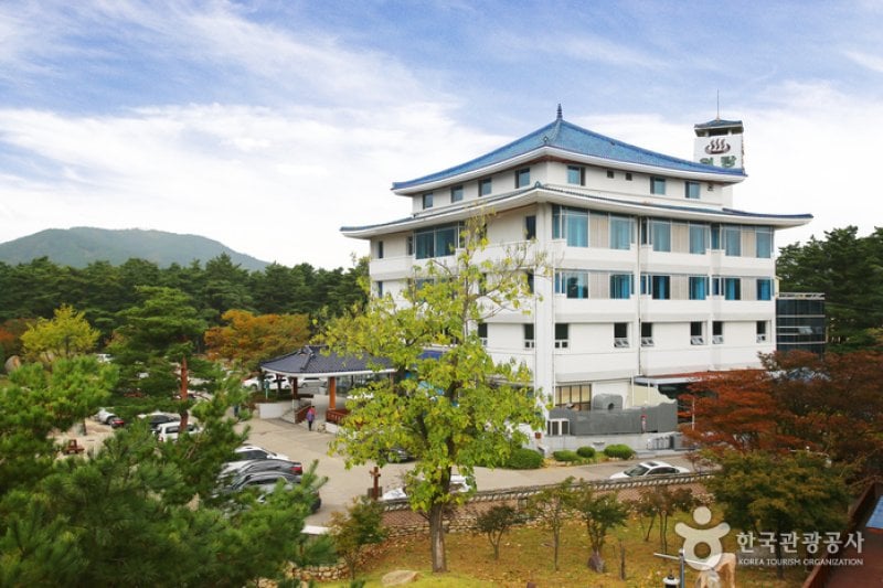 Cheoksan Spatel [Korea Quality] /  (10/11)