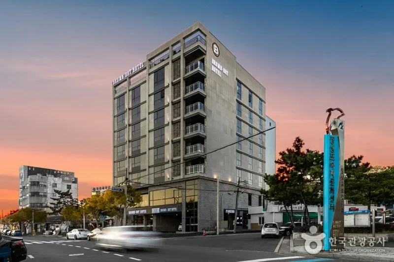 Brown Dot Hotel  (1/30)