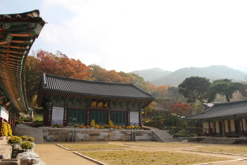 Gapsa Temple (갑사) (21/23)