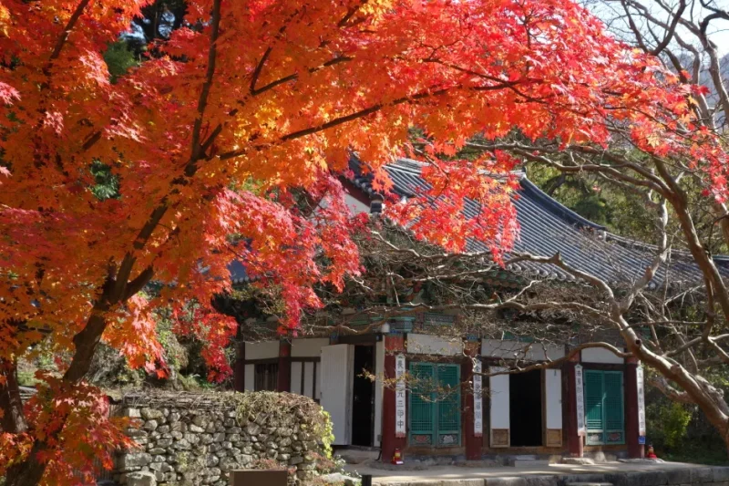 Gapsa Temple (갑사) (23/23)