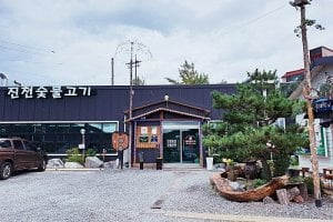 Jincheon Sutbul Gogi 