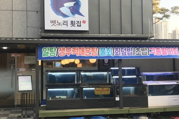 Baennori Hoetjip