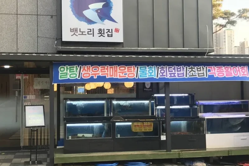 Baennori Hoetjip  (1/1)