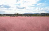 Nari Farm 