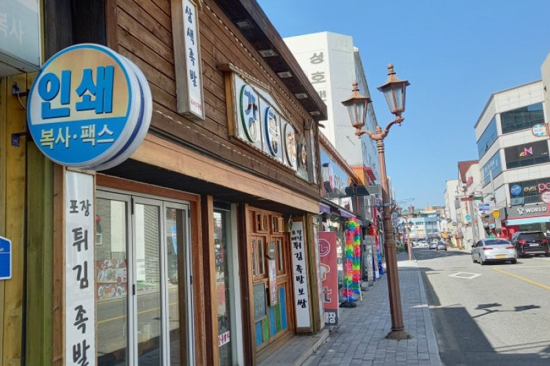 Gangneung Gaja  (1/1)