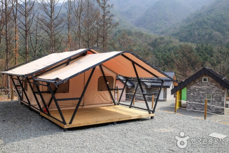 National Center for Forest Activities Chuncheon 