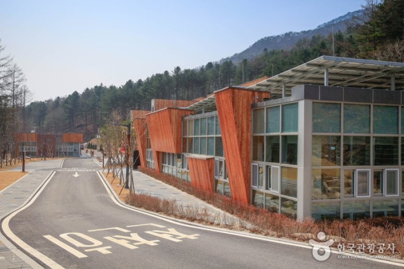 National Center for Forest Activities Chuncheon 