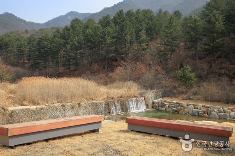 National Center for Forest Activities Chuncheon 