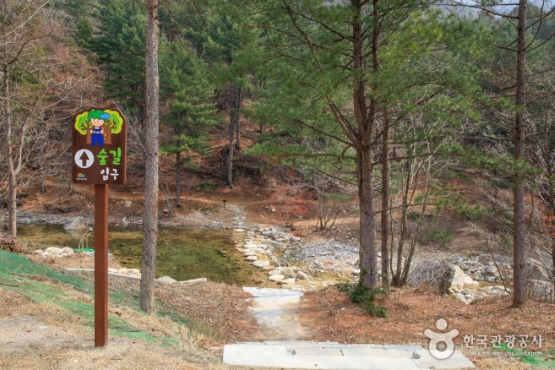 National Center for Forest Activities Chuncheon 