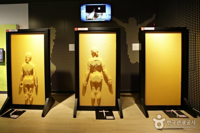 Animation Museum &amp; Toy Robot Studio (춘천 애니메이션박물관&amp;토이로봇관) (16/19)