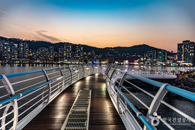Songdo Cloud Trails - Skywalk (송도 구름산책로(스카이워크)) (26/29)