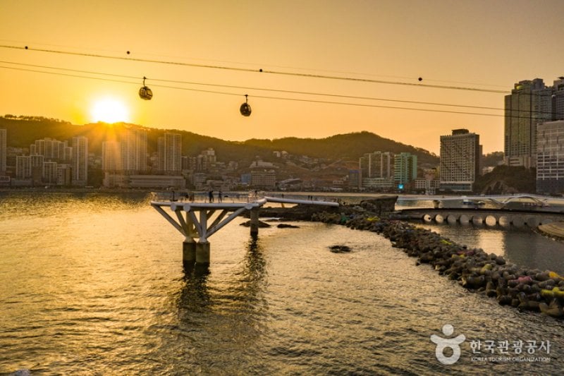 Songdo Cloud Trails - Skywalk (송도 구름산책로(스카이워크)) (28/29)