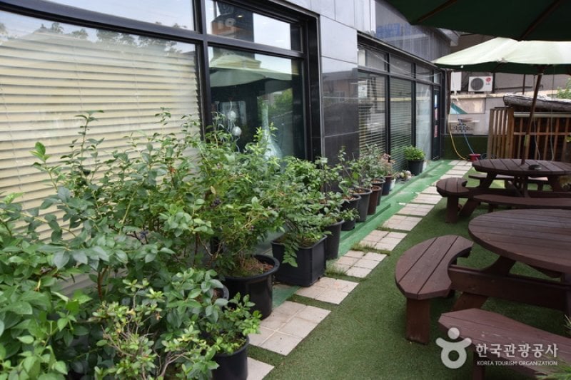 INJE HOTEL  (7/15)