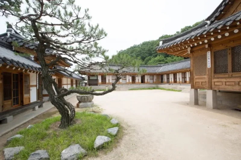 Joseon Wangga (농업회사법인 조선왕가 주식회사) (4/6)