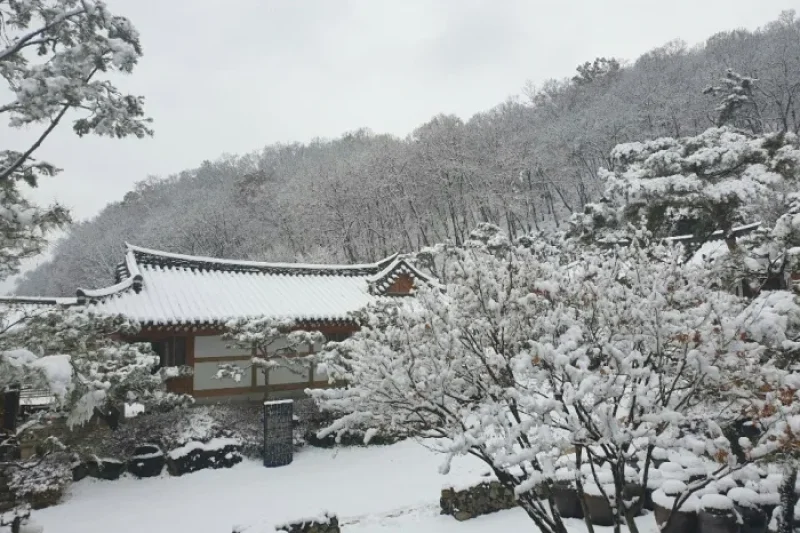 Joseon Wangga (농업회사법인 조선왕가 주식회사) (5/6)