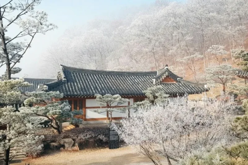 Joseon Wangga (농업회사법인 조선왕가 주식회사) (6/6)