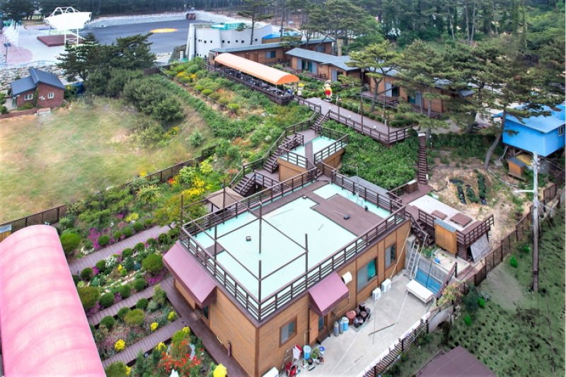 Pinocchio pension - Goodstay  (25/28)