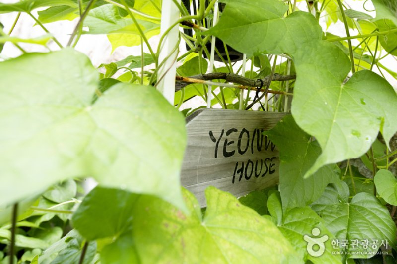 Yeonwoo Guesthouse (연우하우스)[한국관광품질인증/Korea Quality] (17/20)