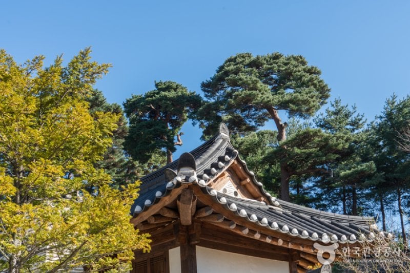 Gangneung Seongyojang  (9/30)