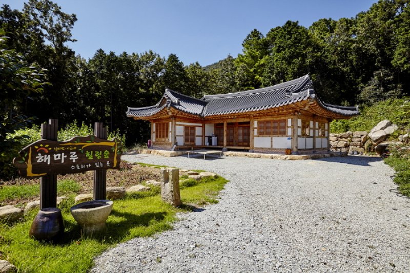 Haemaru Healing Forest (해마루 힐링숲) [한국관광품질인증/Korea Quality] (2/7)