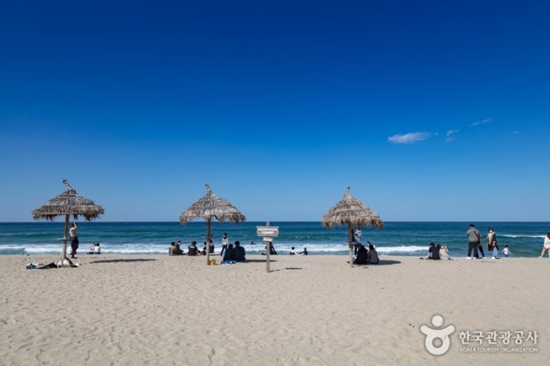 Yangyang Surfyy Beach, surfing  (2/20)